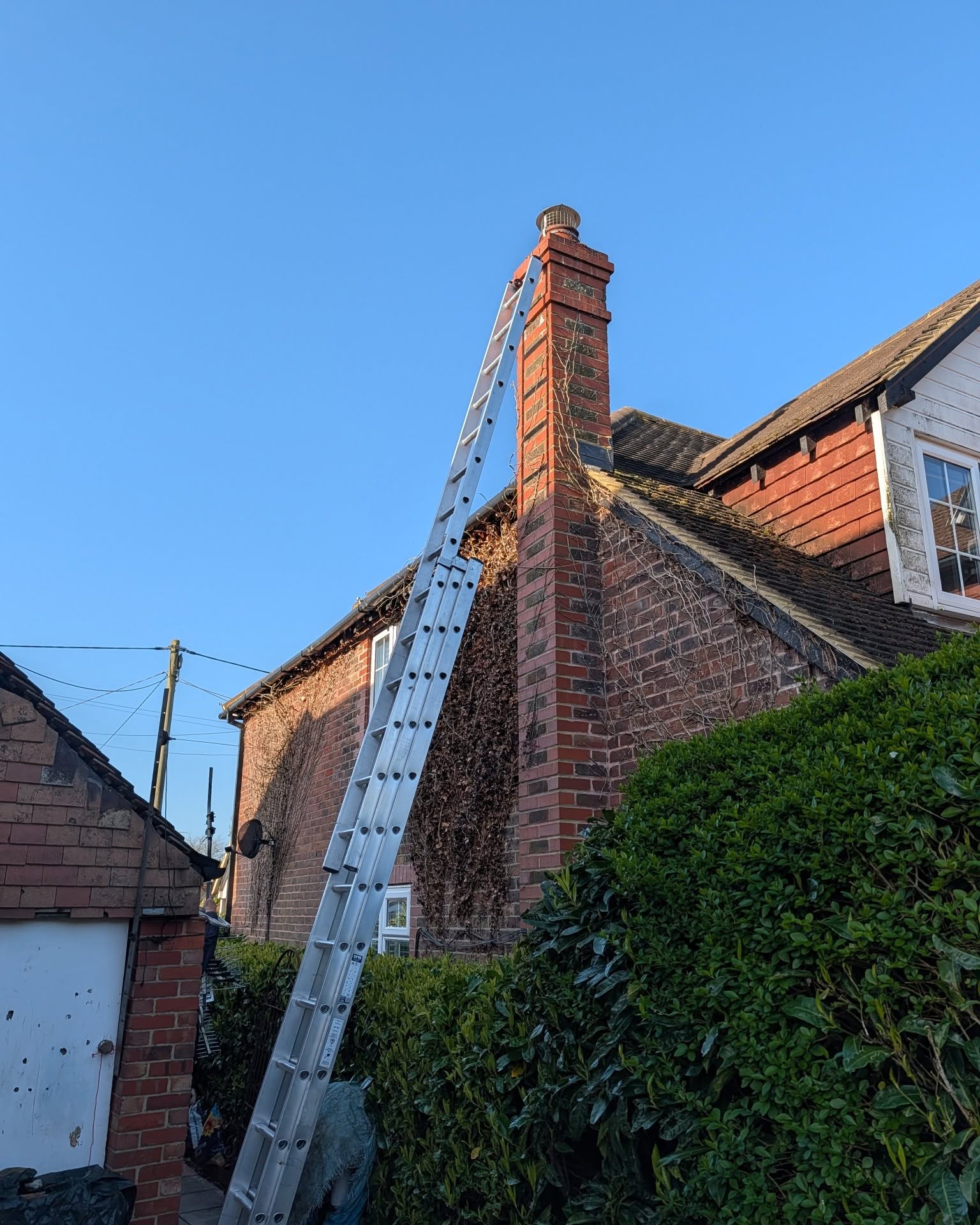 Bird Guard or Cowl Project 7 completed by Pete The Sweep in Sussex